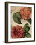 Rustic Flower-Maria Mendez-Framed Giclee Print