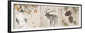 Rustic Forest Panel-Arnie Fisk-Framed Premium Giclee Print