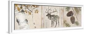 Rustic Forest Panel-Arnie Fisk-Framed Premium Giclee Print
