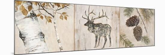 Rustic Forest Panel-Arnie Fisk-Mounted Premium Giclee Print