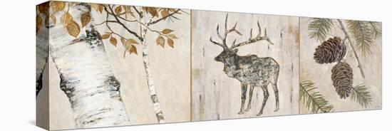 Rustic Forest Panel-Arnie Fisk-Stretched Canvas