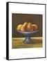 Rustic Fruit Bowl IV-Ethan Harper-Framed Stretched Canvas