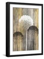 Rustic Garden I-James Burghardt-Framed Art Print