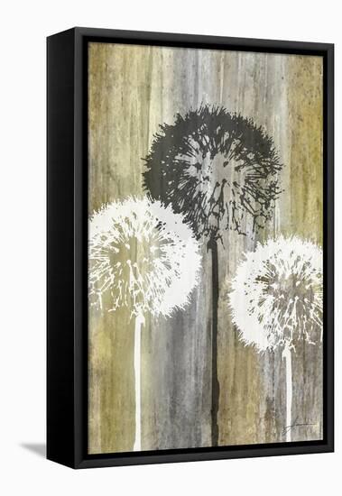 Rustic Garden II-James Burghardt-Framed Stretched Canvas