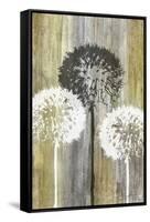 Rustic Garden II-James Burghardt-Framed Stretched Canvas