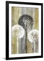 Rustic Garden II-James Burghardt-Framed Art Print