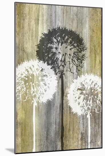 Rustic Garden II-James Burghardt-Mounted Art Print