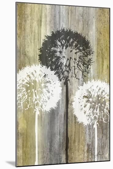 Rustic Garden II-James Burghardt-Mounted Art Print