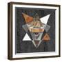 Rustic Geometry I-Tina Lavoie-Framed Giclee Print