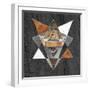 Rustic Geometry I-Tina Lavoie-Framed Giclee Print