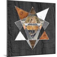 Rustic Geometry I-Tina Lavoie-Mounted Giclee Print