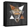 Rustic Geometry I-Tina Lavoie-Framed Stretched Canvas