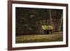 Rustic Glow-Natalie Mikaels-Framed Photographic Print