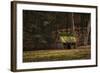 Rustic Glow-Natalie Mikaels-Framed Photographic Print