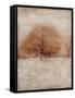 Rustic Gold Oak-Matina Theodosiou-Framed Stretched Canvas