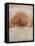 Rustic Gold Oak-Matina Theodosiou-Framed Stretched Canvas