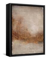 Rustic Gold-Matina Theodosiou-Framed Stretched Canvas