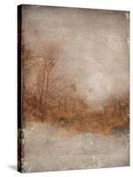 Rustic Gold-Matina Theodosiou-Stretched Canvas