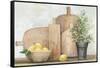 Rustic Kitchen-Julia Purinton-Framed Stretched Canvas