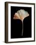 Rustic Leaf 1-David Bookbinder-Framed Art Print