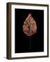 Rustic Leaf 4-David Bookbinder-Framed Art Print