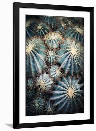 Rustic Macro Shot of Cactus - Tropical Plant with Shallow Depth of Field.Natural Background with Su-NaturePhotography-Framed Photographic Print