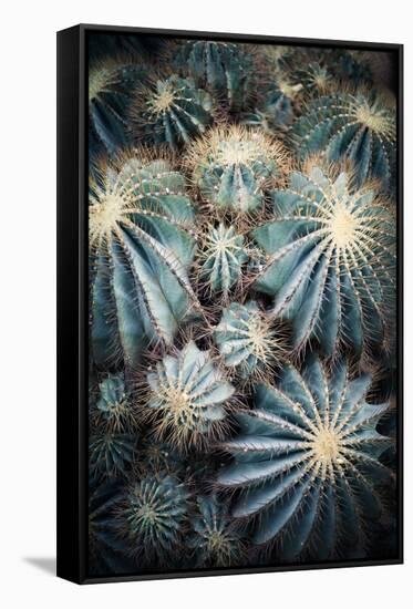 Rustic Macro Shot of Cactus - Tropical Plant with Shallow Depth of Field.Natural Background with Su-NaturePhotography-Framed Stretched Canvas