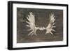 Rustic Moose Mount I-Ethan Harper-Framed Premium Giclee Print