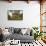 Rustic Mountain Cabin, Seattle-null-Framed Stretched Canvas displayed on a wall