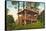 Rustic Mountain Cabin, Seattle-null-Framed Stretched Canvas