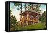 Rustic Mountain Cabin, Seattle-null-Framed Stretched Canvas