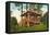 Rustic Mountain Cabin, Seattle-null-Framed Stretched Canvas