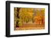 Rustic New England Autumnal Landscape in Horizontal-Greg Kushmerek-Framed Photographic Print