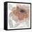 Rustic Peony II-Beverly Dyer-Framed Stretched Canvas