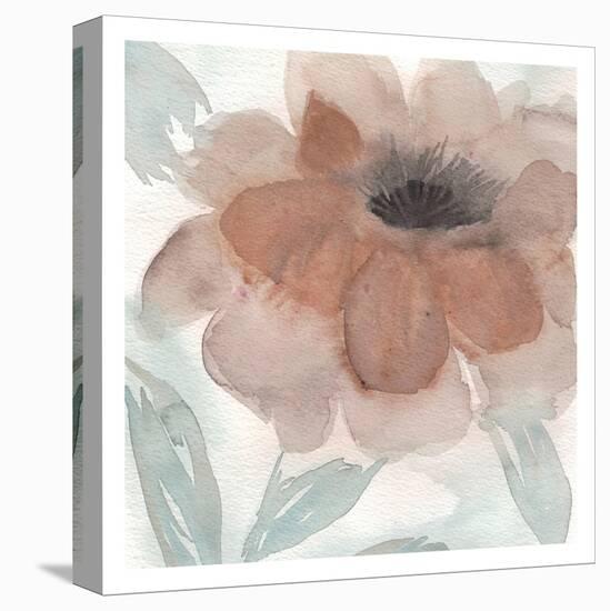 Rustic Peony II-Beverly Dyer-Stretched Canvas