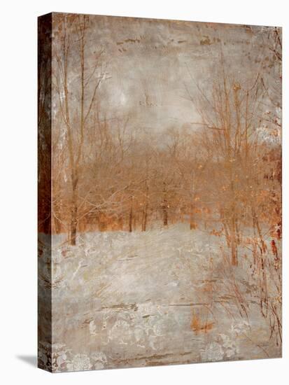 Rustic Poplars-Matina Theodosiou-Stretched Canvas