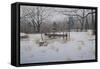 Rustic Rake-Bruce Dumas-Framed Stretched Canvas