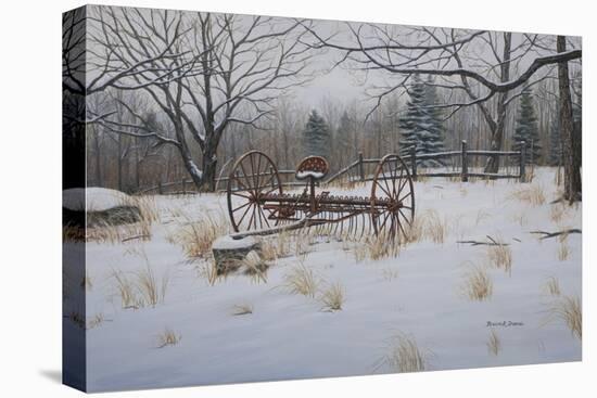 Rustic Rake-Bruce Dumas-Stretched Canvas