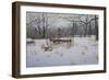 Rustic Rake-Bruce Dumas-Framed Giclee Print