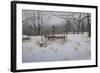 Rustic Rake-Bruce Dumas-Framed Giclee Print