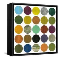 Rustic Rounds 4.0-Michelle Calkins-Framed Stretched Canvas