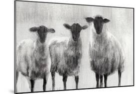 Rustic Sheep I-Ethan Harper-Mounted Art Print