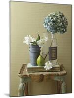 Rustic Shelf - Garden-Camille Soulayrol-Mounted Giclee Print