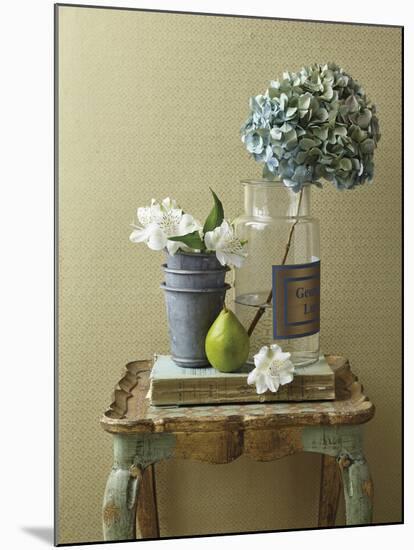 Rustic Shelf - Garden-Camille Soulayrol-Mounted Giclee Print