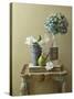 Rustic Shelf - Garden-Camille Soulayrol-Stretched Canvas