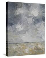 Rustic Skies-Bill Philip-Stretched Canvas