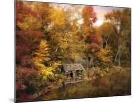 Rustic Splendor-Jessica Jenney-Mounted Giclee Print