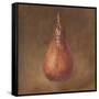 Rustic Sports II-Ethan Harper-Framed Stretched Canvas
