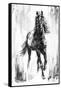 Rustic Stallion I-Ethan Harper-Framed Stretched Canvas