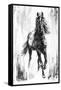 Rustic Stallion I-Ethan Harper-Framed Stretched Canvas